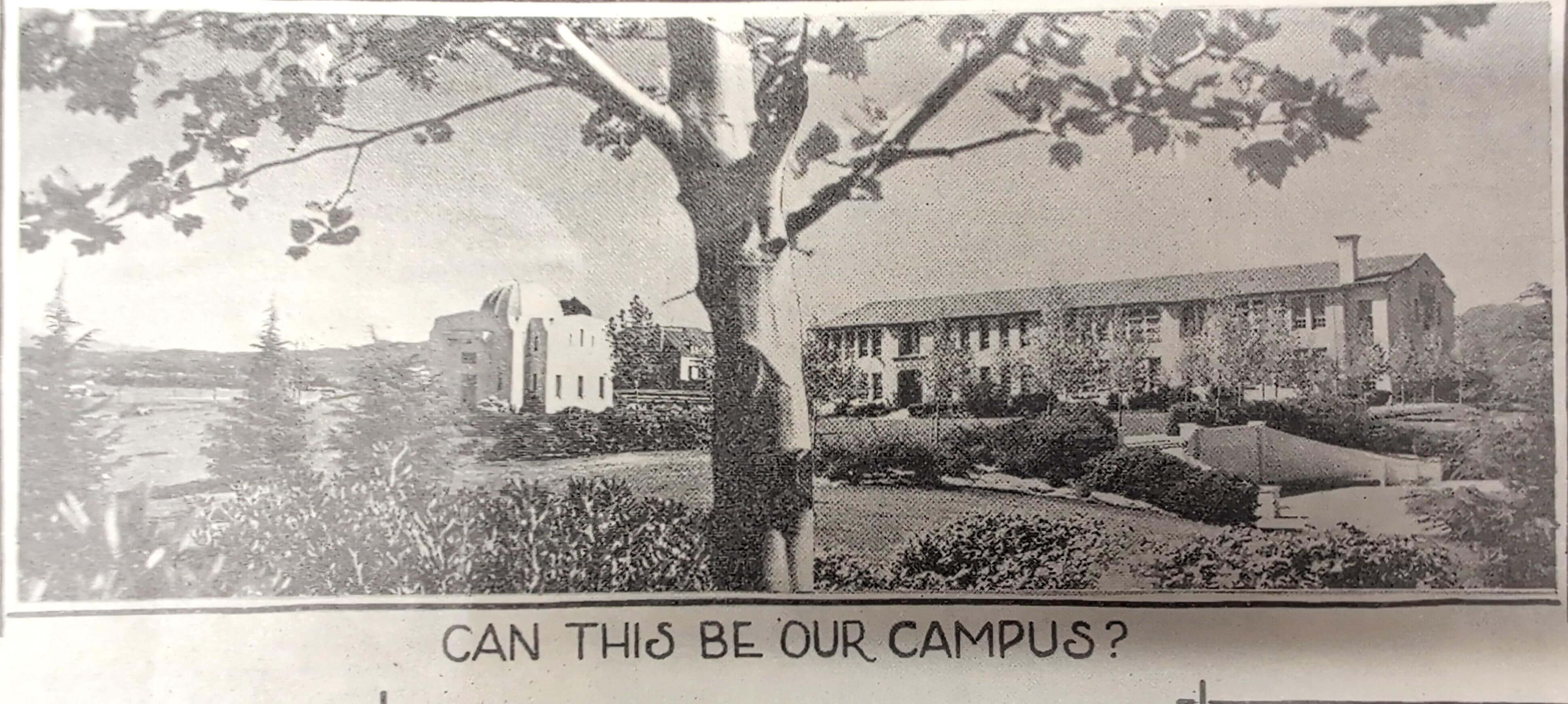 Image One for Great Depression