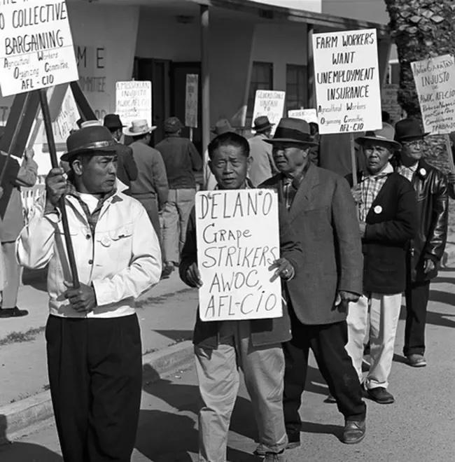 Agricultural Workers Organizing Committee members picketing in front of Filipino Community Hall as part of the Delano Grape Strike on September 24, 1965.
