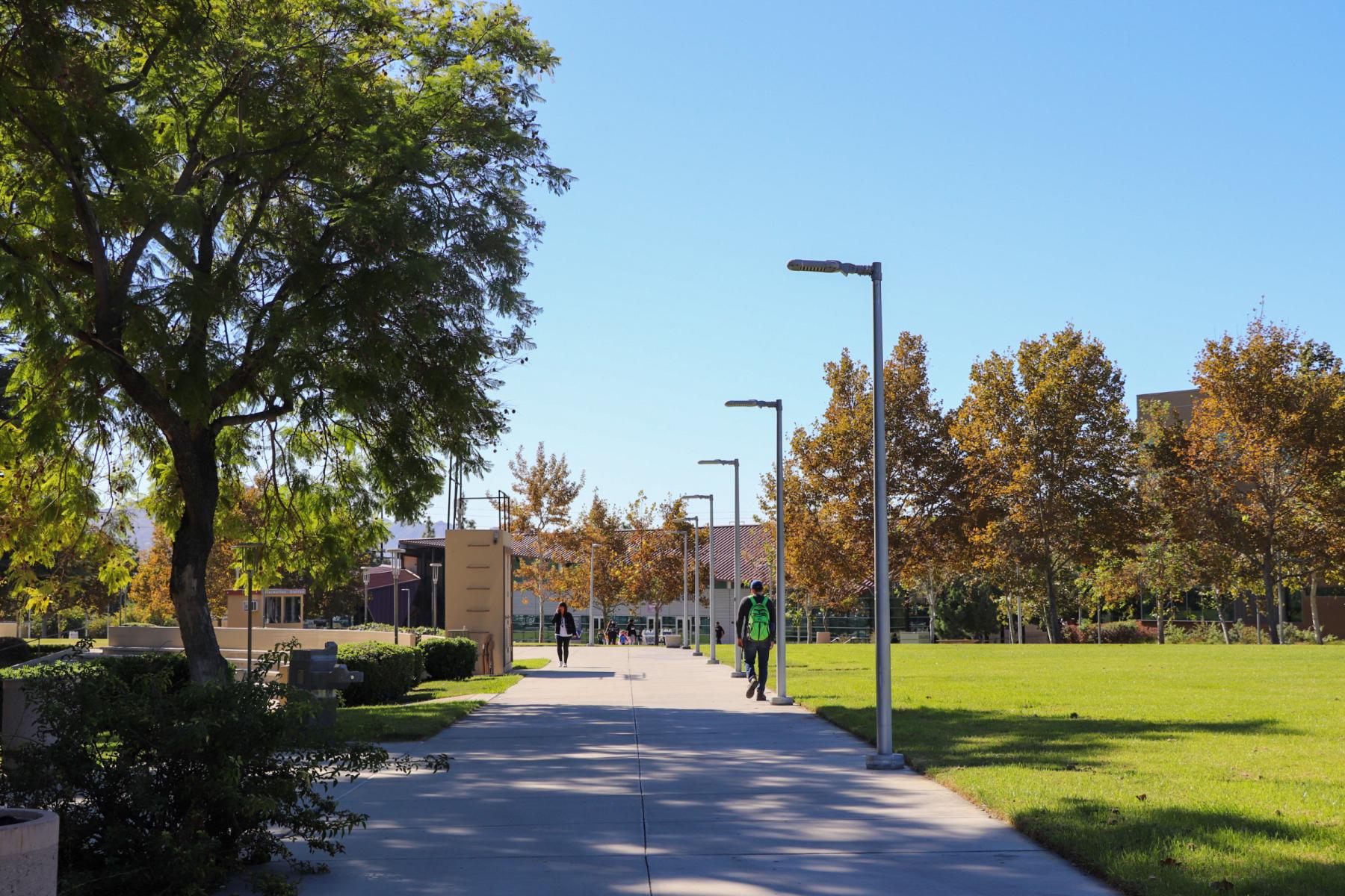 A photo of students walking down San Bernadino Valley College walkway with trees to either side.