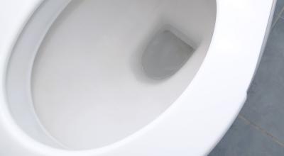 zoom-in image of toilet bowl